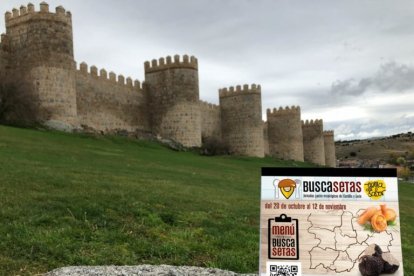 Presentación de las jornadas 'Buscasetas 2023'. -TIERRA DE SABOR