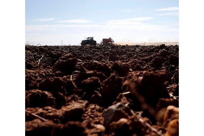 Un tractor prepara la tierra para una nueva campaña en una explotación agrícola de Salamanca. - ENRIQUE CARRASCAL