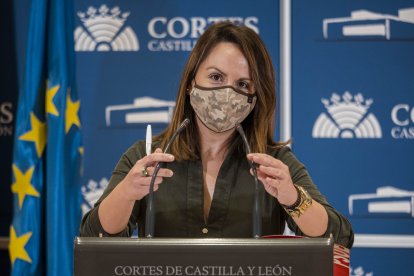 La viceportavoz del Grupo Parlamentario Socialista, Patricia Gómez, en una imagen de archivo. ICAL