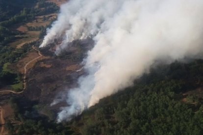 Incendio en San Bartolomé de Rueda en León. JCYL