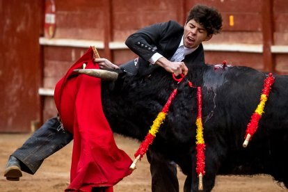 Momento en el que el novillero Julio Méndez es herido por una cornada en el muslo - ICAL