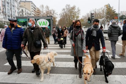 Usuarios de perros guía este lunes en Valladolid / LOSTAU