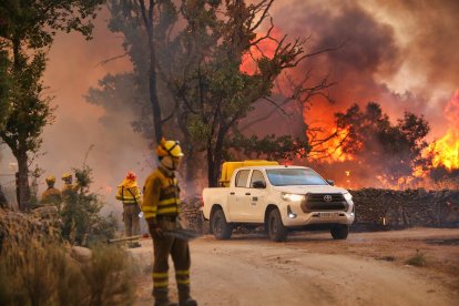 Incendio en Roelos de Sayago. - ICAL