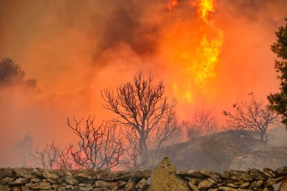 Incendio en Roelos de Sayago. - ICAL