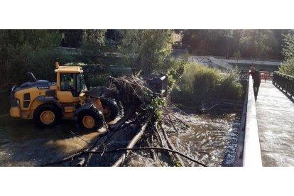 Limpieza En El Cauce Del Río. - AYUNTAMIENTO DE LEÓN