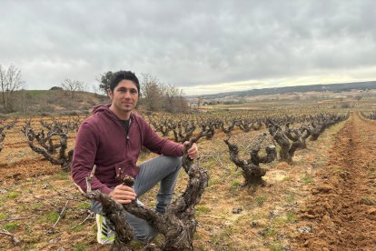 Daniel Maestre, junto a uno de sus viñedos. -E.C.B.