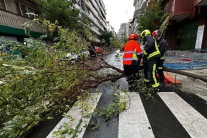 Intervención de los bomberos por fuertes rachas de viento.- Ical