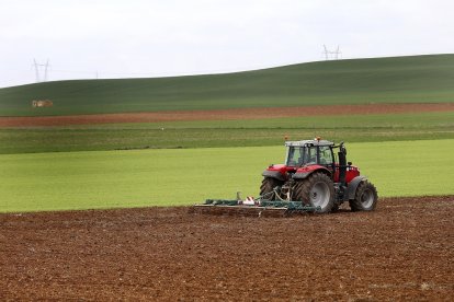 Un agricultor pasa el cultivador enganchado a su tractor en una finca de la localidad de Torquemada, en la provincia de Palencia. / Brágimo