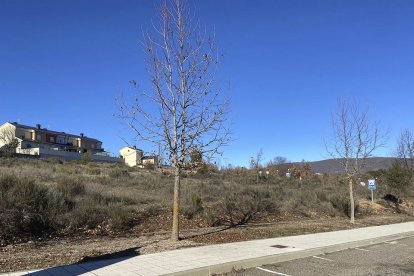 Parcelas donde se pretendía ubicar el Centro de Mayores en Puebla de Sanabria.- E.M.