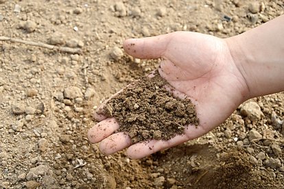 Un agricultor muestra un fertilizante ecológico para sustituir al NPK.  PQS / CCO