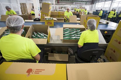 Trabajadores en la fábrica de Pepsico en Burgos, imagen de archivo. ICAL