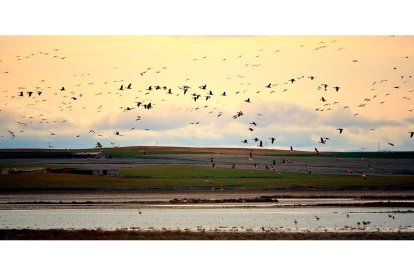 Amanece en otro espacio natural como las Lagunas de Villafáfila. EL MUNDO