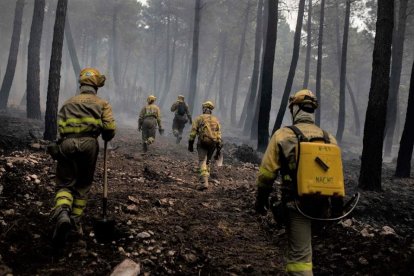 Bomberos en las labores de extinción en el incendio en la Sierra de la Culebra. -IVÁN G.