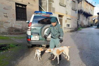 Una patrulla del Seprona rescata a dos perros abandonados sin agua ni comida en el interior de una vivienda de Tremor de Arriba (León). -ICAL