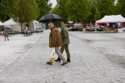 Tormenta de Granizo en Almazán. ICAL