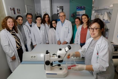 Miembros de la ‘spin-off’ vallisoletana Citospin  y de la UVA en el Instituto de Biología y Genética Molecular. - J. M. LOSTAU