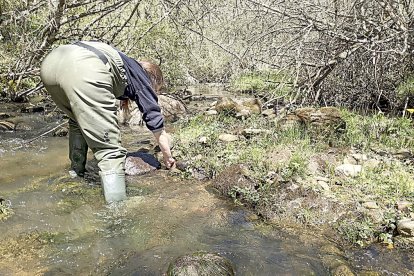 Una bióloga recoge muestras en la cuenca del Duero en una imagen de archivo. CHD