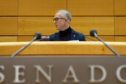 Ánder Gil, en una imagen de archivo cuando presidía el Senado.-E. P.