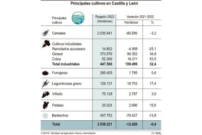 Principales cultivos en Castilla y León.- ICAL