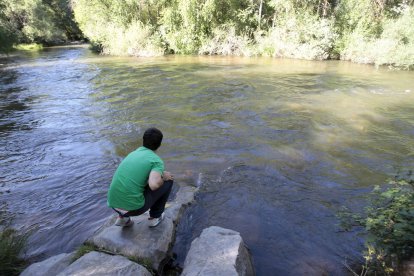 El Duero y el Pedrajas se unen en un singular paraje habilitado como zona de ocio, con grandes valores naturales y numerosas pistas y rutas para disfrutar del paseo, la bicicleta o el atletismo.- H.D.S.