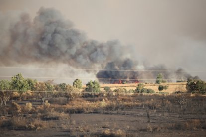 Incendio en Losacio de Alba.- ICAL