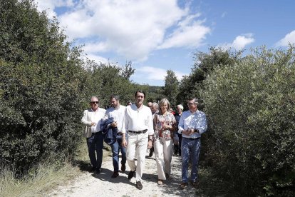 Suárez-Quiñones visita la senda del Roblón de Estalaya en la montaña palentina. E.M.