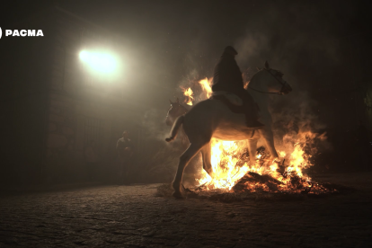 Imagen de las Luminarias en Ávila. PACMA