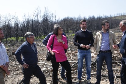 El secretario general del Partido Socialista de Castilla y León, Luis Tudanca, durante su visita a los municipios zamoranos de Tábara y Villardeciervos. ICAL