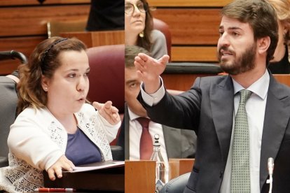 Noelia Frutos y Juan García-Gallardo, durante el pleno de las Cortes.- ICAL / E. M.