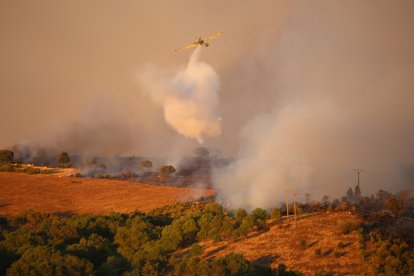 Incendio en losacio de Alba. ICAL