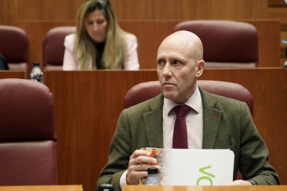 El portavoz de Vox en las Cortes, Carlos Menéndez. ICAL