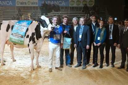 La vaca abulense Serrada Chantel Chief, Gran Campeona en el concursos Internacional de frisón en la feria Abanca Cimag-GandAgro.- ICAL