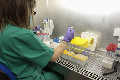 El Laboratorio Regional de Sanidad Animal de Villaquilambre (León).- ICAL