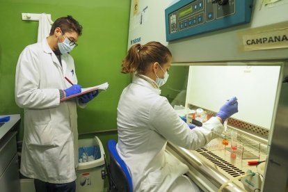 . Equipo en las instalaciones del Instituto de Biología y Genética Molecular de Valladolid. PHOTOGENIC