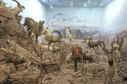 Eduardo Romero, en el interior de una de las salas de su Museo de la Fauna Salvaje.- ARGICOMUNICACIÓN