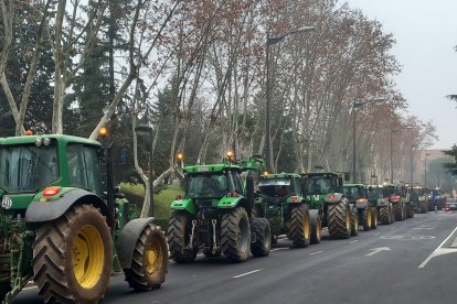 Tractorada en las calles de Zamora. -E.M.