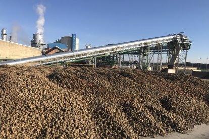 Fotografía del sistema de recepción de remolacha Punto 0 en la fábrica de ACOR en Olmedo. E.M.