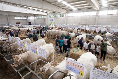 Feria Salamaq en una imagen de archivo.