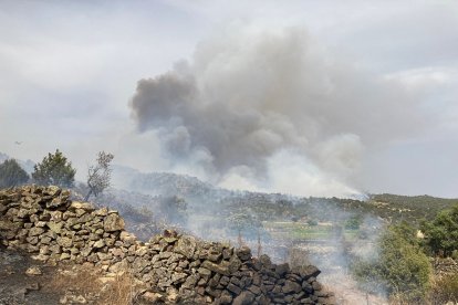 Incendio en San Juan de la Nava (Ávila).- E. M.