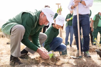 El presidente de Iberdrola en la jornada de reforestación.- E. M.