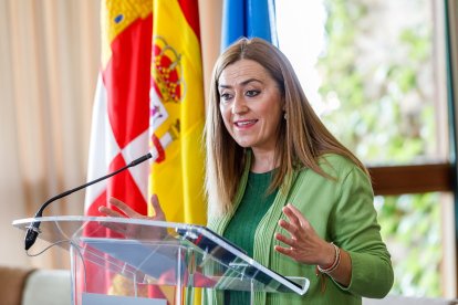 La delegada del Gobierno en Castilla y León, Virginia Barcones. ICAL