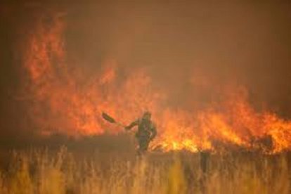 Incendio Sierra de la Culebra