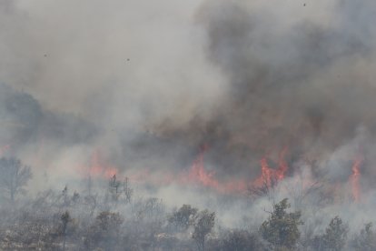 Incendio de Losacio en Zamora. ICAL.