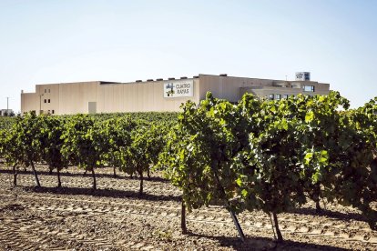 Bodega Cuatro Rayas, en la localidad vallisoletana de La Seca.- CUATRO RAYAS