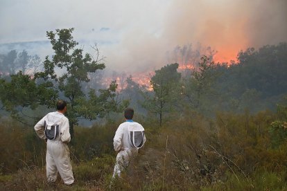 El incendio del Teleno amenaza las localidades de Boisán y Filiel.- E.M