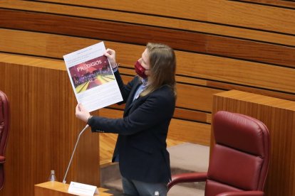 El portavoz de Podemos en las Cortes, Pablo Fernández, durante su intervención en la segunda sesión del pleno en las Cortes de Presupuestos Generales de la Comunidad para 2021.- ICAL