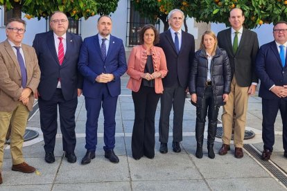 El consejero de Sanidad, Alejandro Vázquez, asiste a la reunión del Pleno del Consejo Interterritorial del Sistema Nacional de Salud.- ICAL