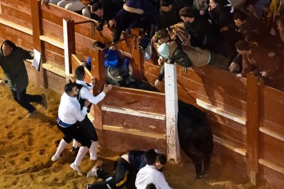 El concurso de cortes del Carnaval de Ciudad Rodrigo vio interrumpido su celebración después de que un toro saltara a un burladero y dejara tres heridos: uno de 19 años, natural de Salamanca; un varón de 36 años, de Yecla de Yeltes; y una joven de 23 años, de Valladolid. 