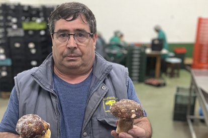 Aurelio, con unos boletus de su empresa. E. M.