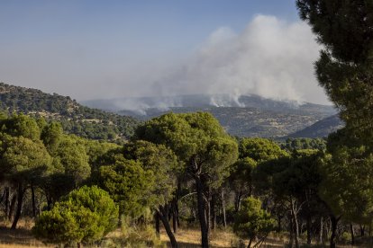 Incendio en Cebreros, Ávila. - ICAL